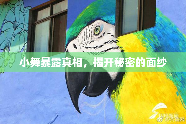小舞暴露真相，揭开秘密的面纱