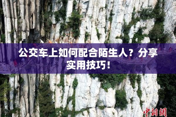 公交车上如何配合陌生人？分享实用技巧！