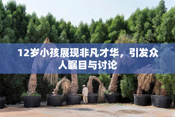 12岁小孩展现非凡才华，引发众人瞩目与讨论