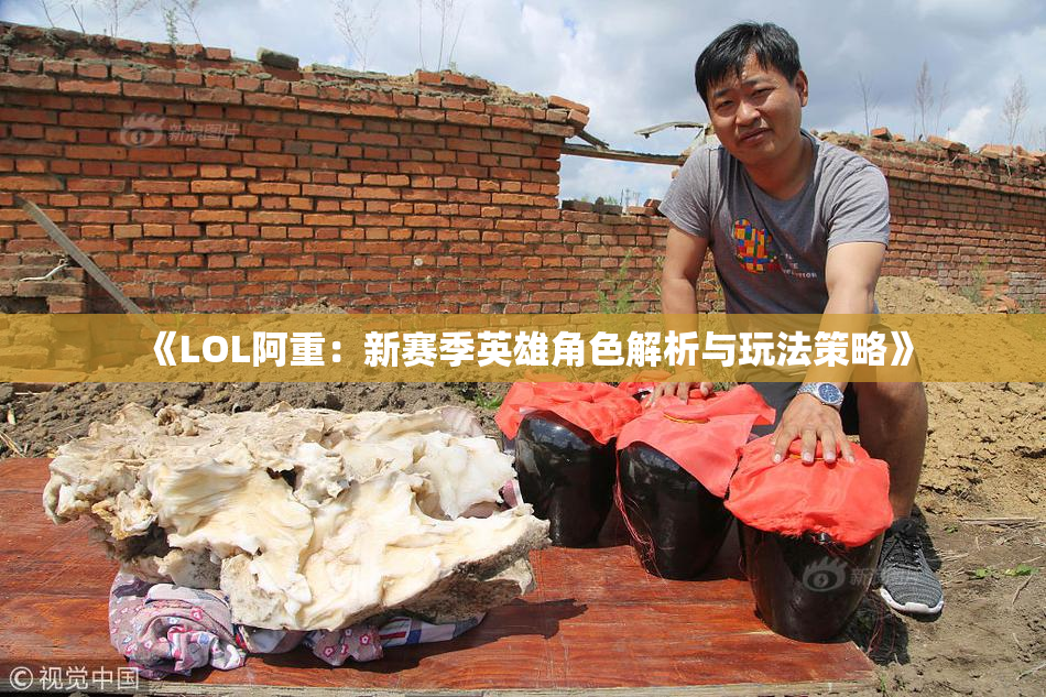 《LOL阿重：新赛季英雄角色解析与玩法策略》