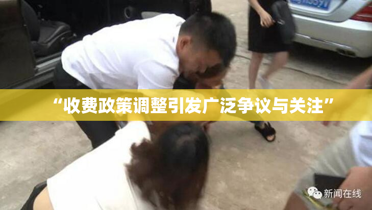 “收费政策调整引发广泛争议与关注”