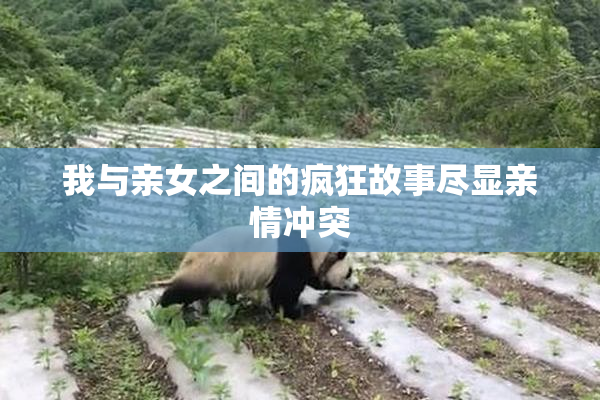 我与亲女之间的疯狂故事尽显亲情冲突