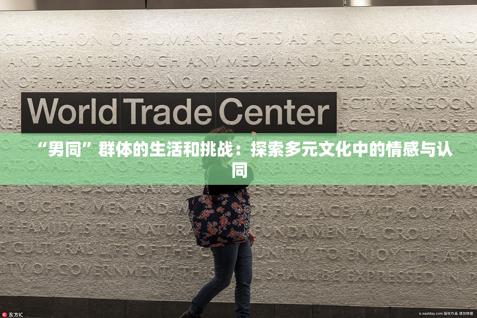 “男同”群体的生活和挑战：探索多元文化中的情感与认同