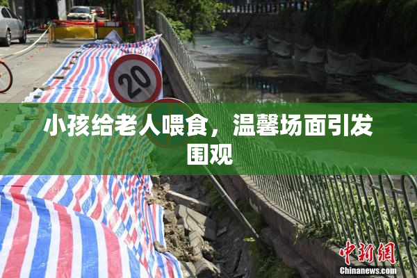 小孩给老人喂食，温馨场面引发围观