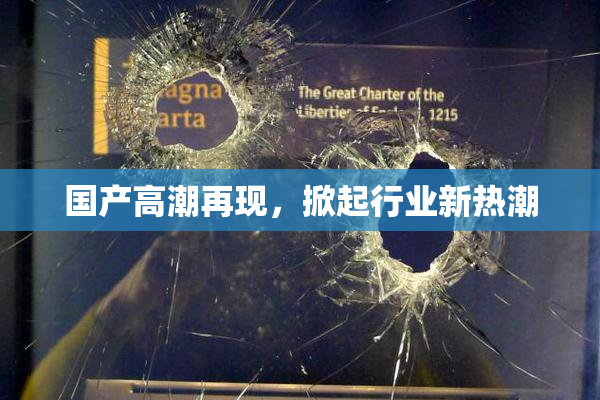 国产高潮再现，掀起行业新热潮