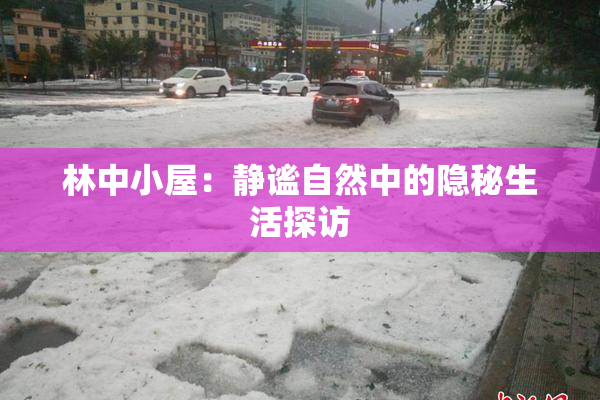林中小屋：静谧自然中的隐秘生活探访