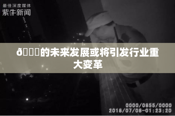 🈚的未来发展或将引发行业重大变革