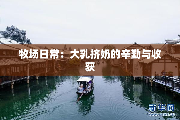 牧场日常：大乳挤奶的辛勤与收获