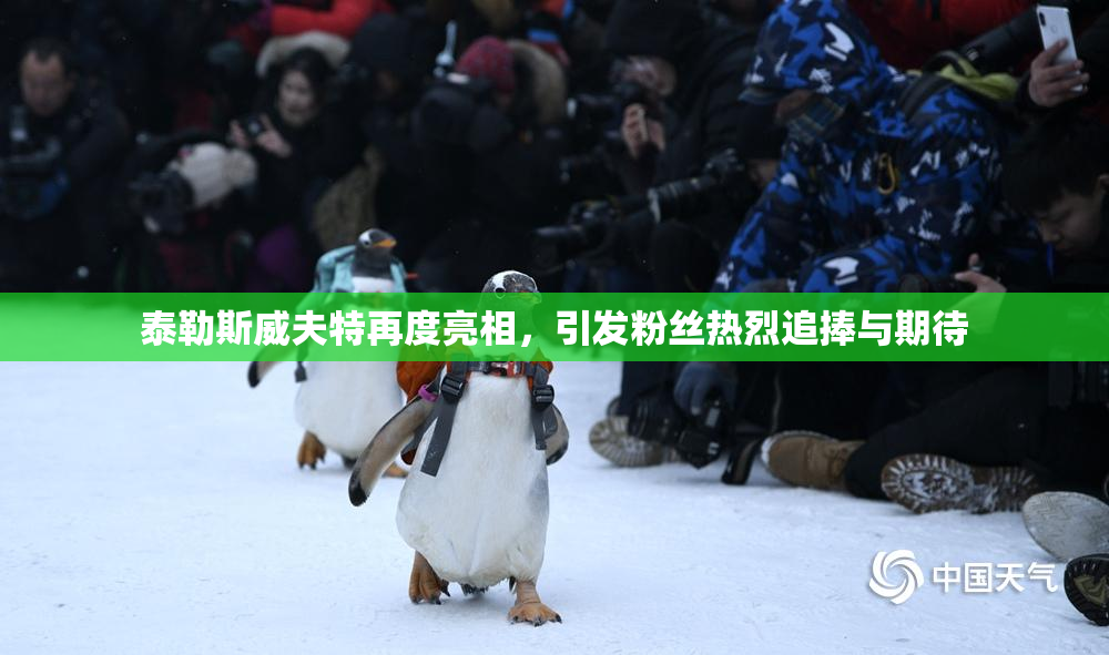 泰勒斯威夫特再度亮相，引发粉丝热烈追捧与期待