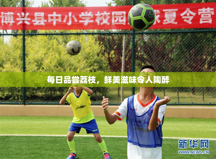 每日品尝荔枝，鲜美滋味令人陶醉