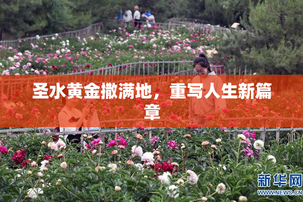 圣水黄金撒满地，重写人生新篇章