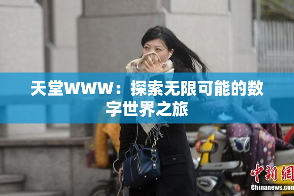 天堂WWW：探索无限可能的数字世界之旅