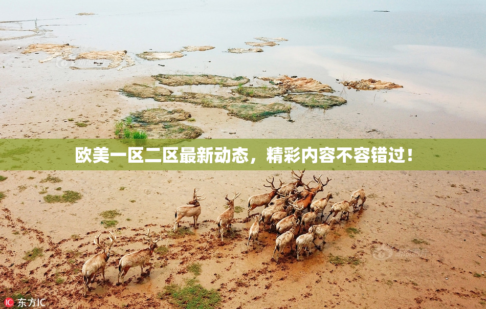 欧美一区二区最新动态，精彩内容不容错过！