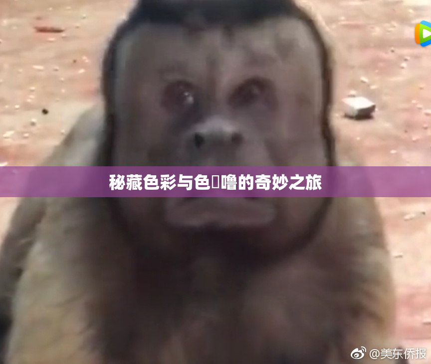 秘藏色彩与色嚕噜的奇妙之旅