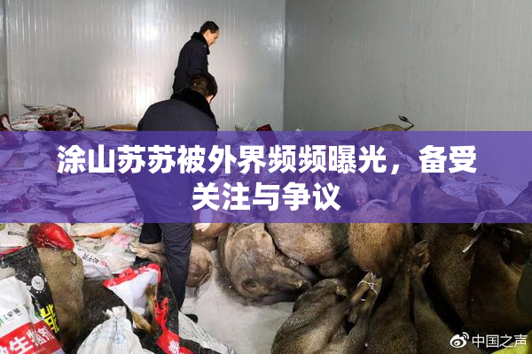 涂山苏苏被外界频频曝光，备受关注与争议