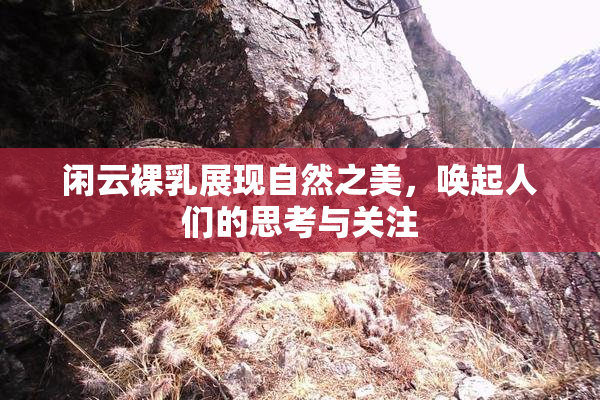 闲云裸乳展现自然之美，唤起人们的思考与关注