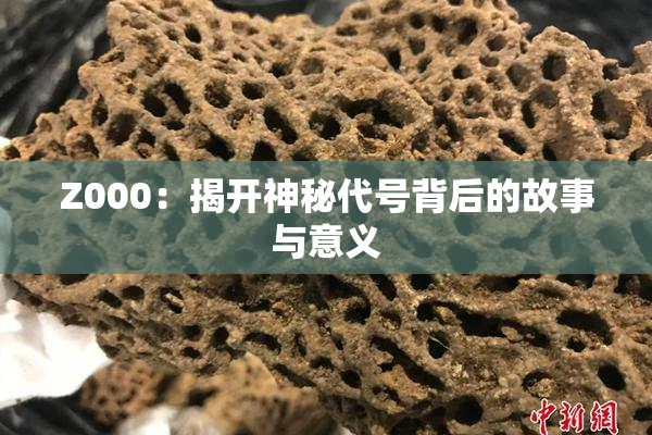 Z000：揭开神秘代号背后的故事与意义
