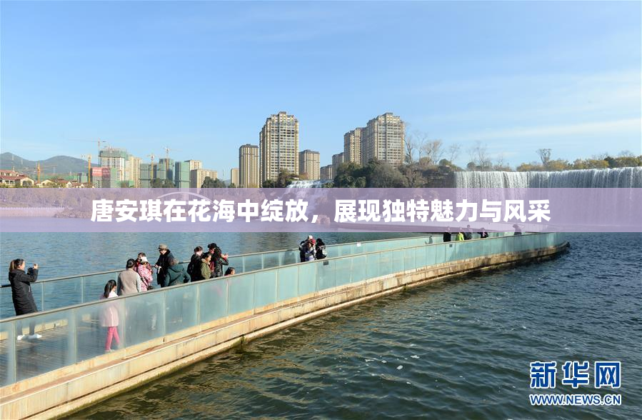 唐安琪在花海中绽放，展现独特魅力与风采