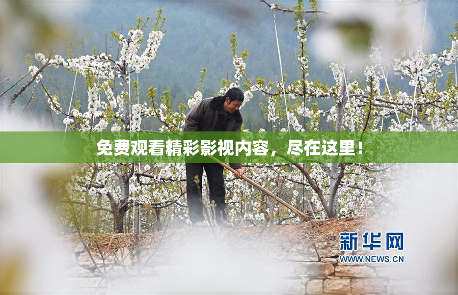 免费观看精彩影视内容，尽在这里！