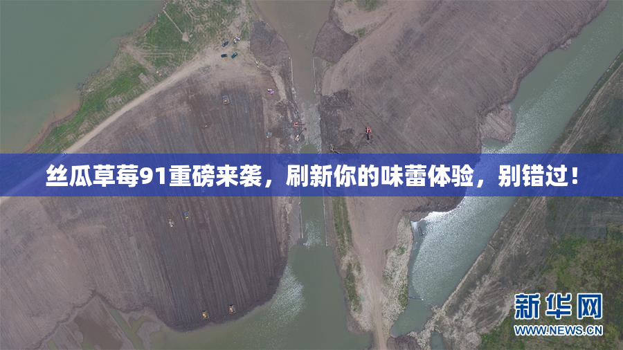 丝瓜草莓91重磅来袭，刷新你的味蕾体验，别错过！