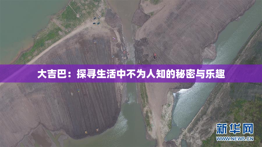 大吉巴：探寻生活中不为人知的秘密与乐趣