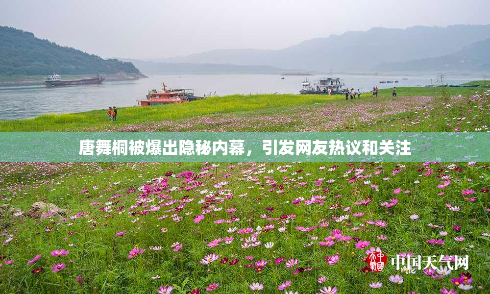 唐舞桐被爆出隐秘内幕，引发网友热议和关注