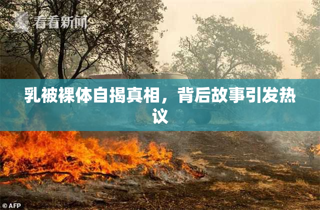 乳被裸体自揭真相，背后故事引发热议