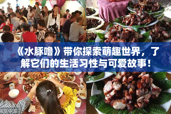 《水豚噜》带你探索萌趣世界，了解它们的生活习性与可爱故事！