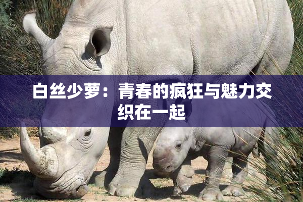 白丝少萝：青春的疯狂与魅力交织在一起