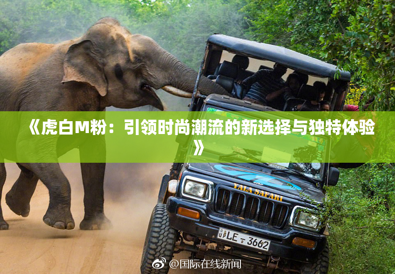 《虎白M粉：引领时尚潮流的新选择与独特体验》