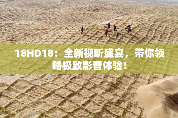 18HD18：全新视听盛宴，带你领略极致影音体验！