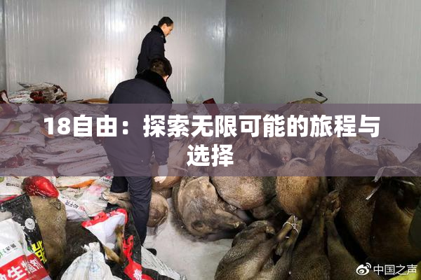 18自由：探索无限可能的旅程与选择