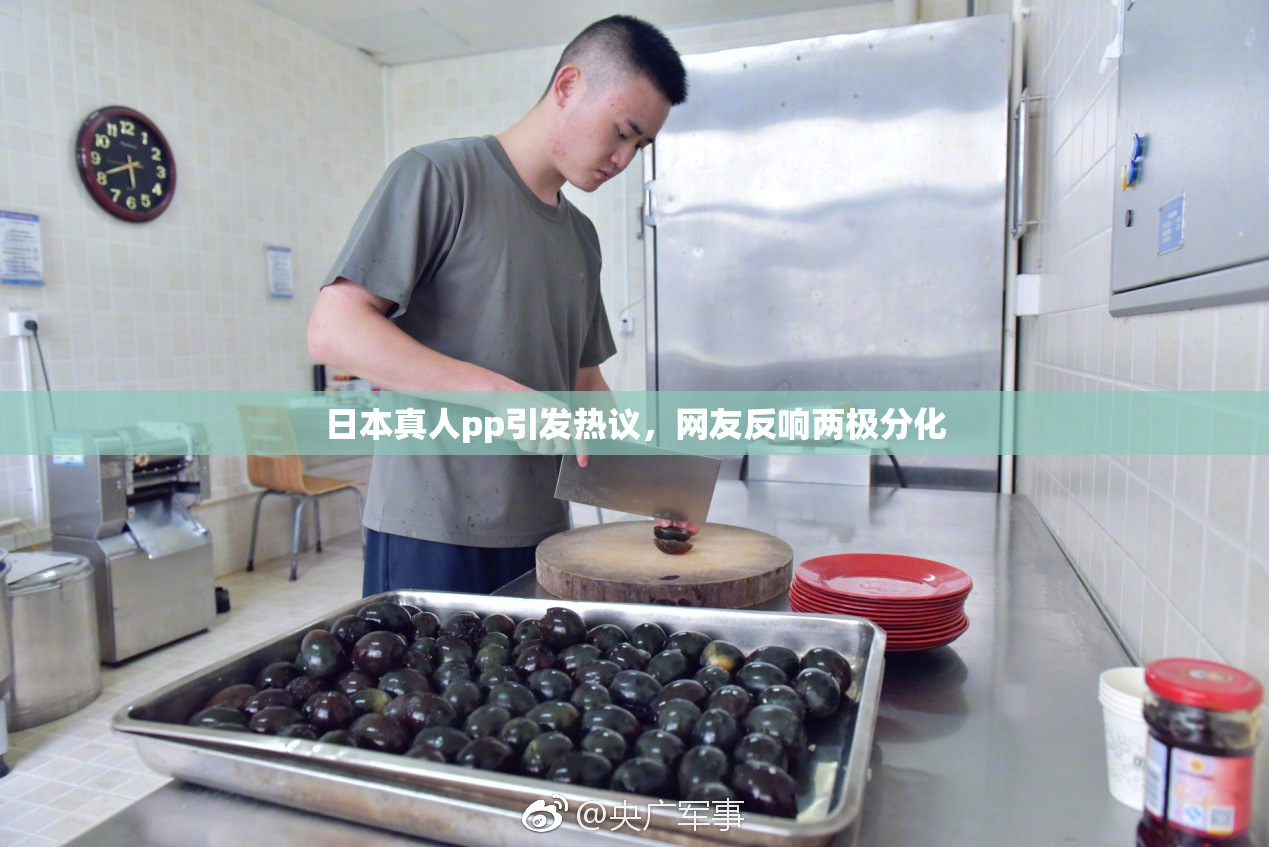 日本真人pp引发热议，网友反响两极分化