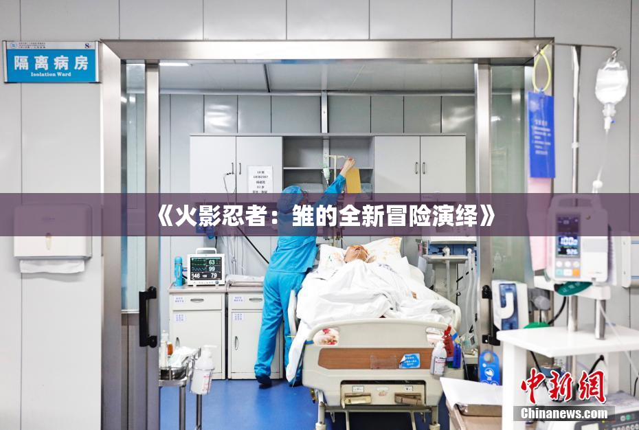 《火影忍者：雏的全新冒险演绎》