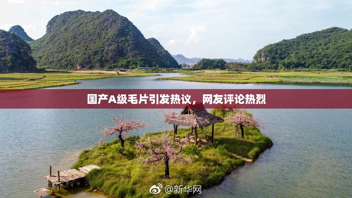 国产A级毛片引发热议，网友评论热烈