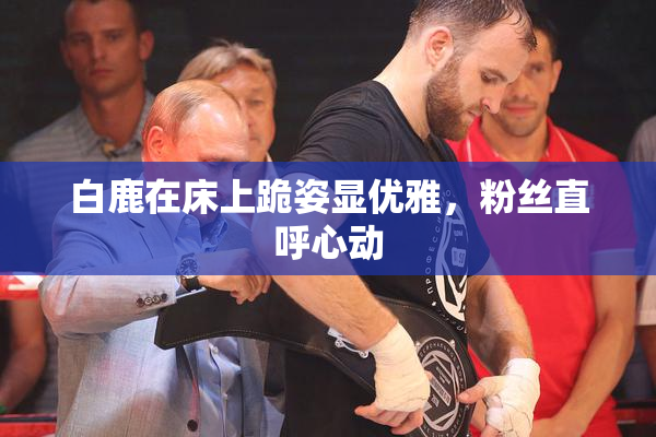白鹿在床上跪姿显优雅，粉丝直呼心动