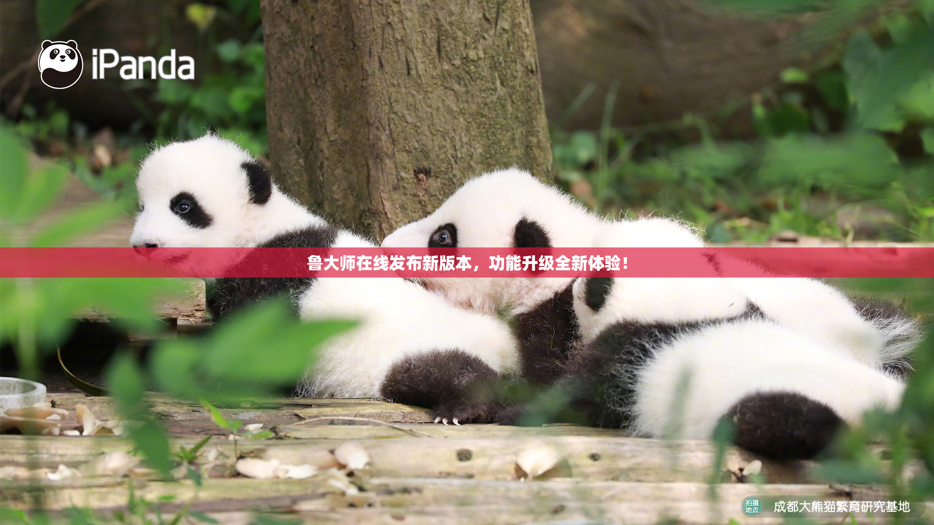 鲁大师在线发布新版本，功能升级全新体验！