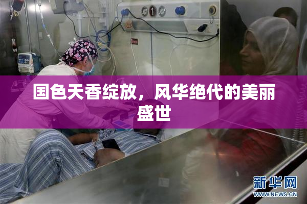 国色天香绽放，风华绝代的美丽盛世
