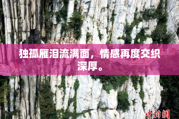 独孤雁泪流满面，情感再度交织深厚。