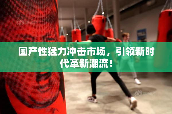 国产性猛力冲击市场，引领新时代革新潮流！