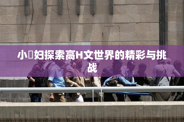 小婬妇探索高H文世界的精彩与挑战