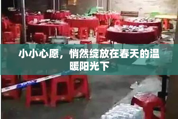 小小心愿，悄然绽放在春天的温暖阳光下