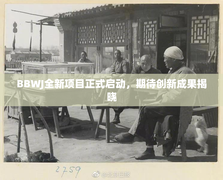 BBWJ全新项目正式启动，期待创新成果揭晓