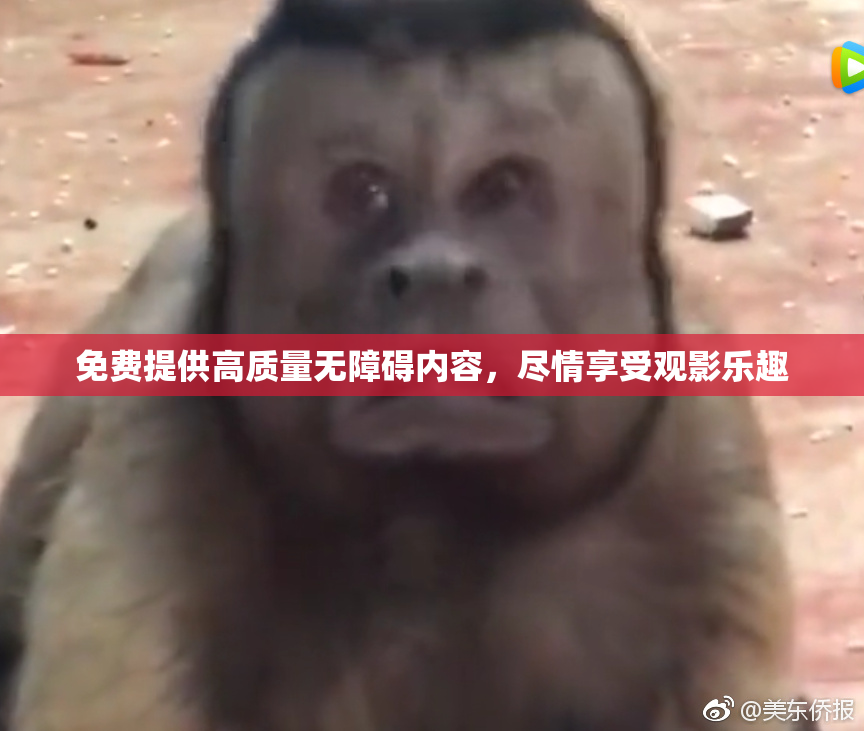 免费提供高质量无障碍内容，尽情享受观影乐趣