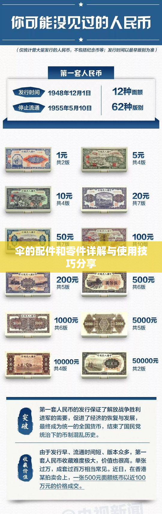 伞的配件和零件详解与使用技巧分享