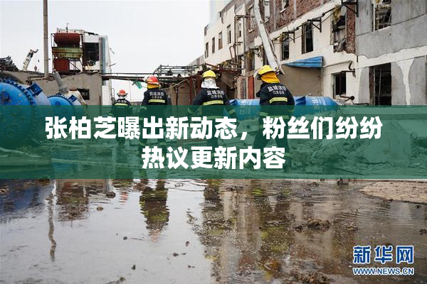 张柏芝曝出新动态，粉丝们纷纷热议更新内容