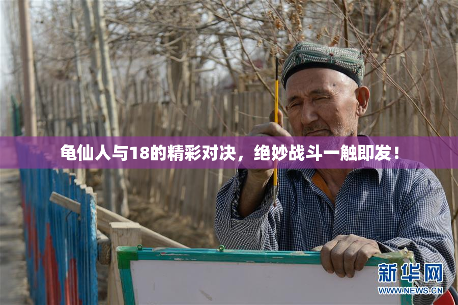 龟仙人与18的精彩对决，绝妙战斗一触即发！