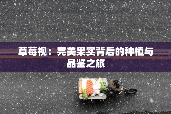 草莓视：完美果实背后的种植与品鉴之旅