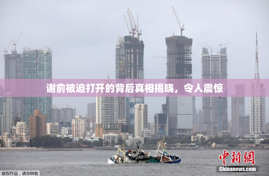 谢俞被迫打开的背后真相揭晓，令人震惊