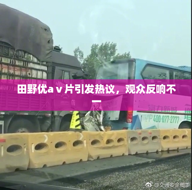 田野优aⅴ片引发热议，观众反响不一